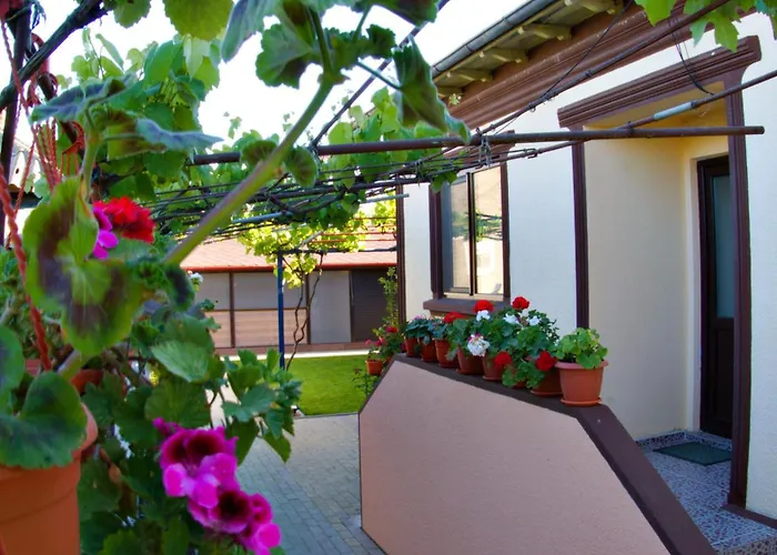 Căsuța Lui Ion Hotel Sulina