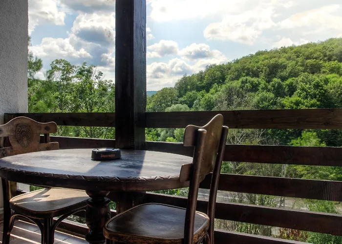 Pensiune-Restaurant Tara Luanei Sărata-Monteoru