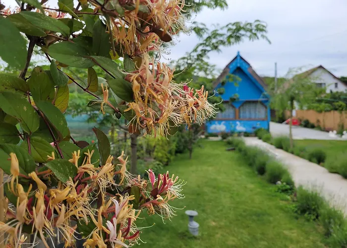 Casa Malul Dunării Mahmudia