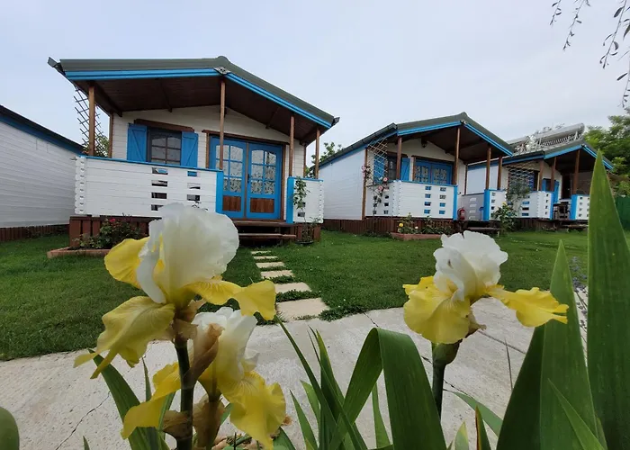 Casa Malul Dunării Mahmudia