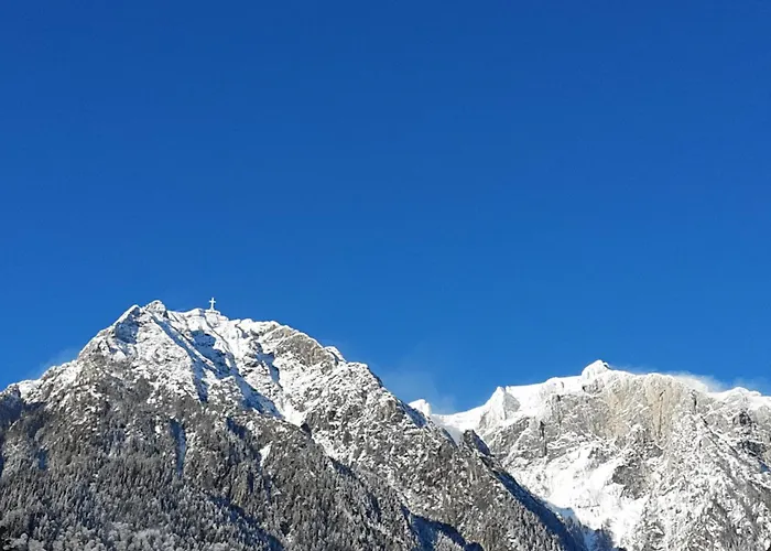 Casa cu Flori Hotel Buşteni