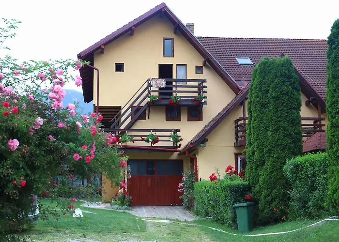 Pensiunea Dealul Frumos Bran 