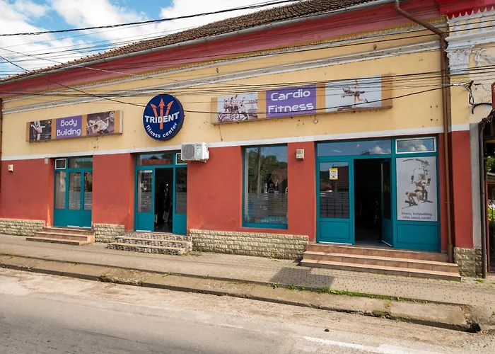 Trident Hotel Haţeg