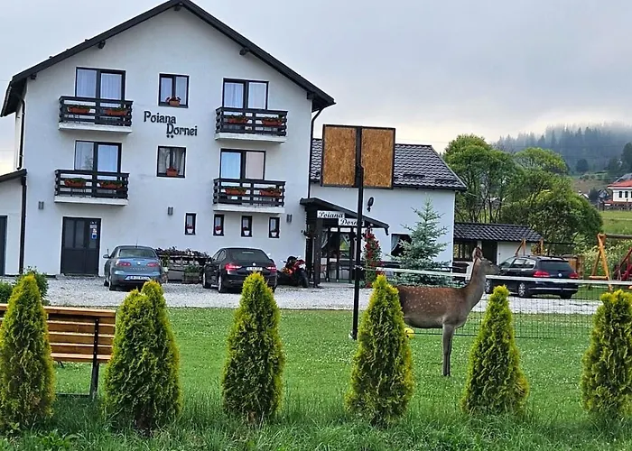 Pensiunea Poiana Dornei Vatra Dornei