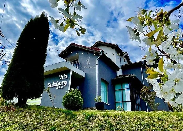 Vila Salzburg Ocna Sibiului
