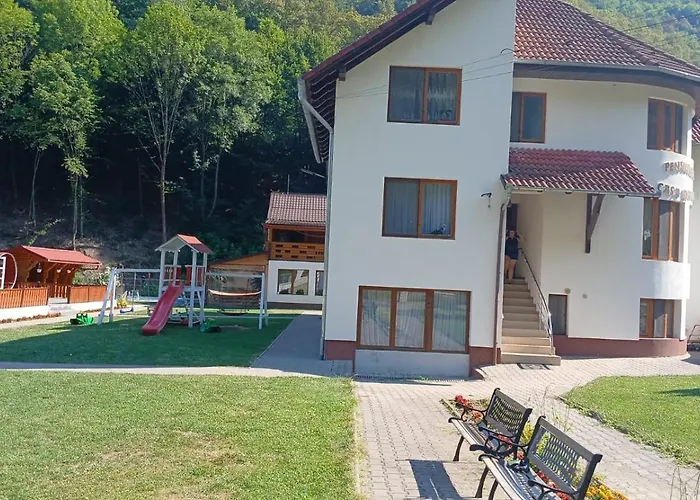 Pensiunea Casa David Şugag