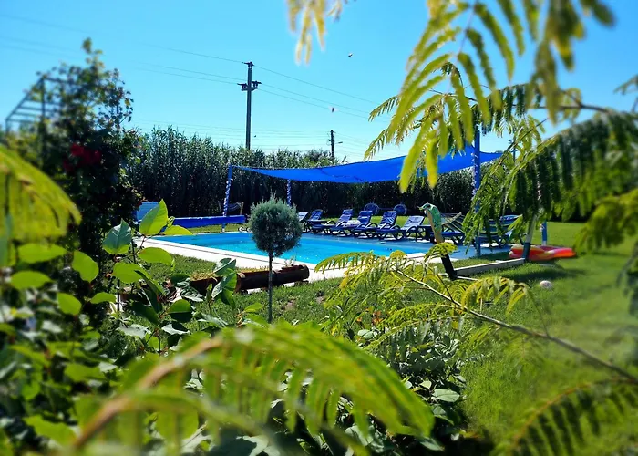 Casa cu Trandafiri Murighiol