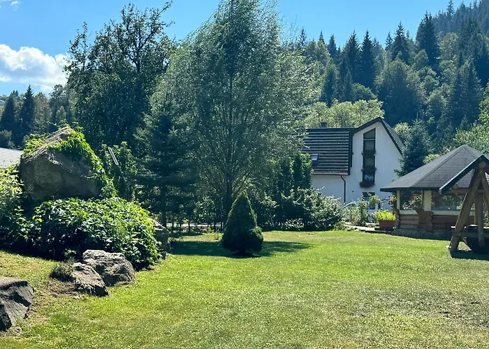 Casa Baciu Hotel Fundu Moldovei