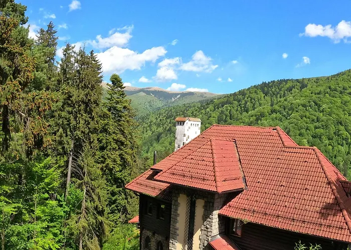 Casa Adina Hotel Sinaia