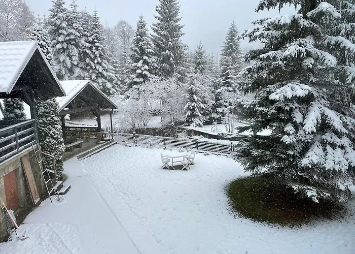 Montana Hotel Sucevita