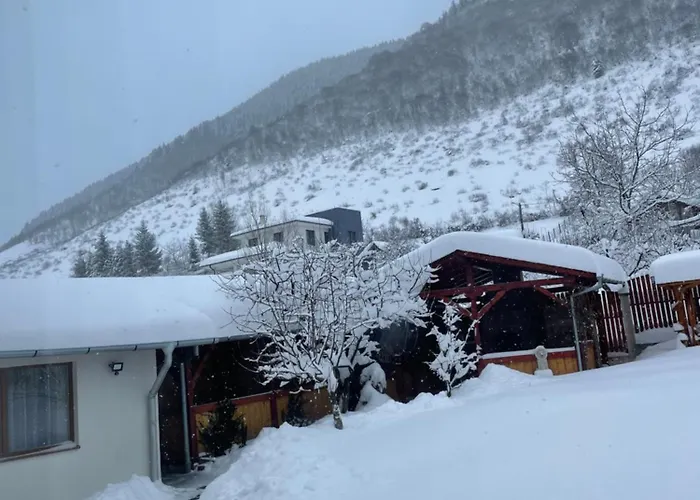 Pensiunea Vătafu Gura Râului