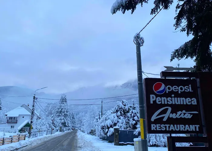 Pensiunea Antia Durău