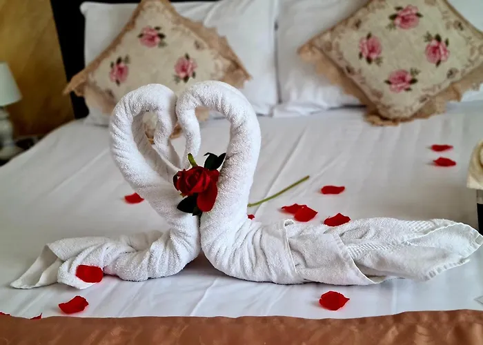 Casa Daniel Hotel Bran 