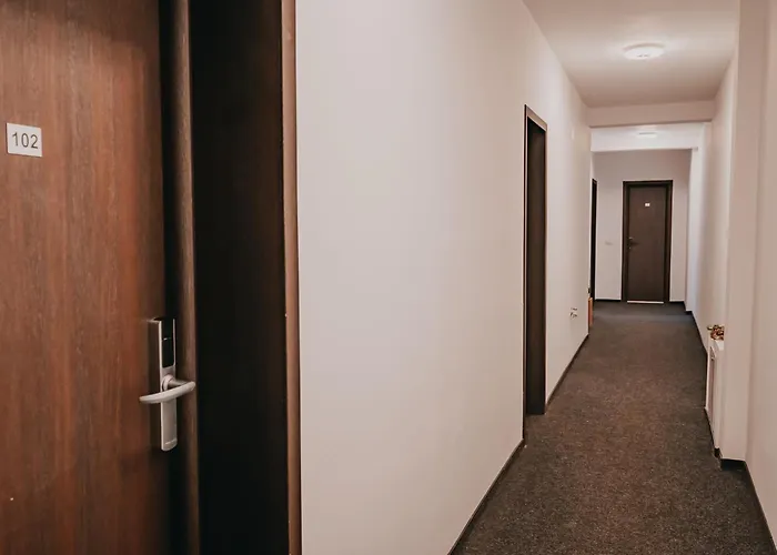 Villa Rosa Timişoara