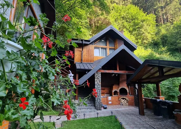 Căbănuța Cocoțată Hotel Rucăr