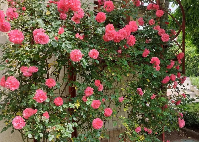 Steaua Nordului Hotel Târgu Neamţ