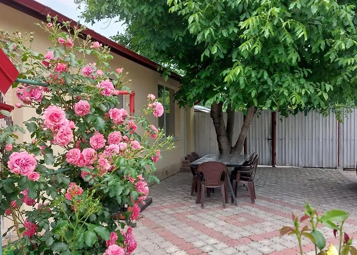 Steaua Nordului Hotel Târgu Neamţ