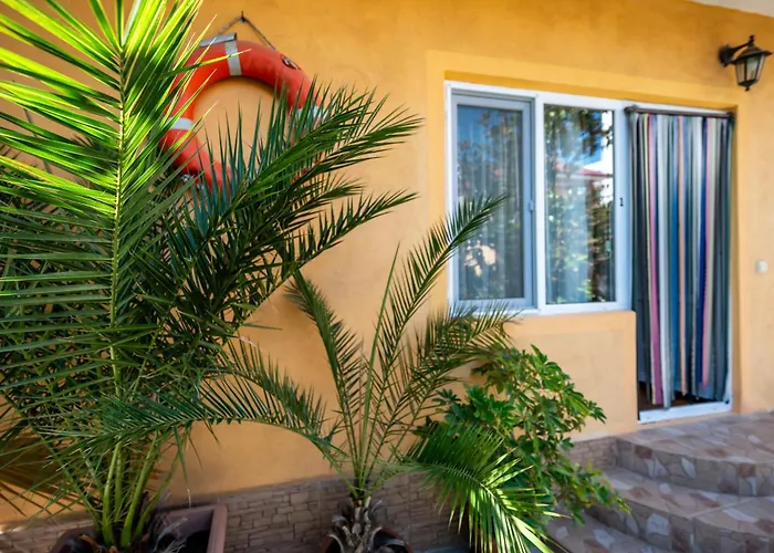 Casa Amalia Hotel Costineşti