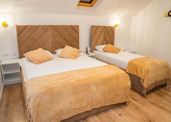 Casa Alis Hotel Oradea