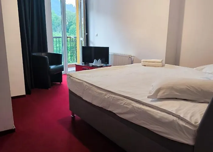 Pensiunea Lucy Sinaia