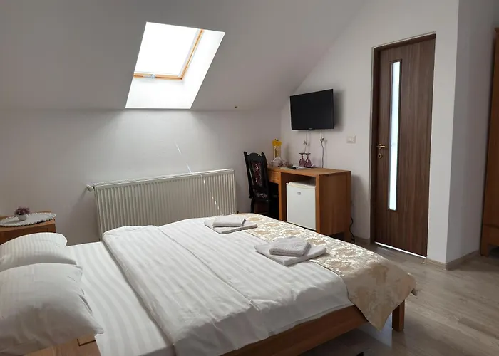 Pensiunea ATLANTIS Moisei