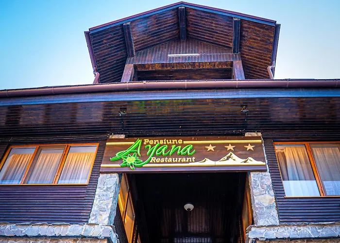 Pensiunea Ayana Petroşani