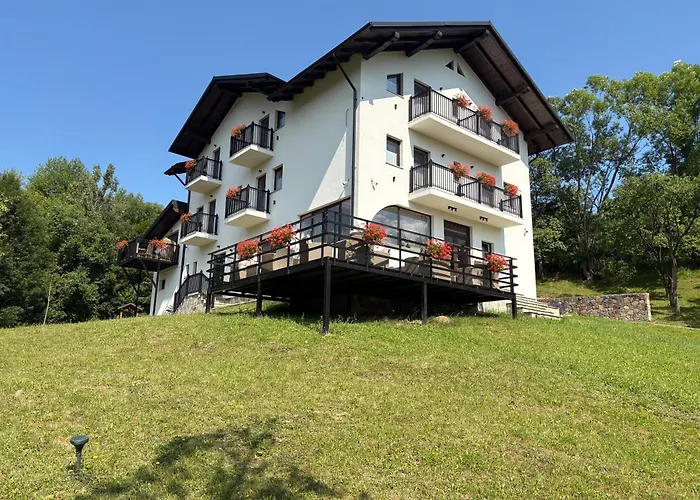 Liniștea Codrului Hotel Borşa