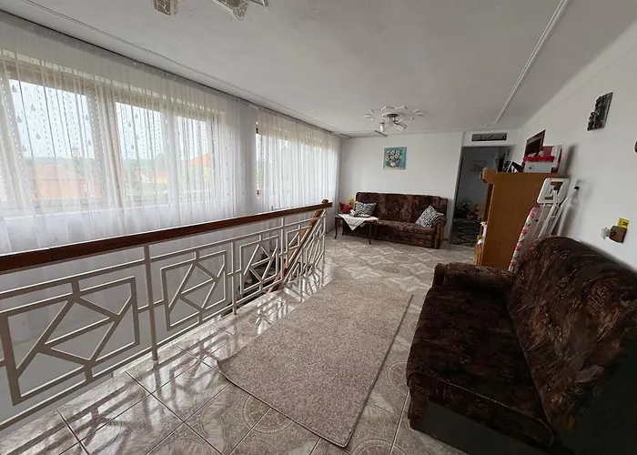 Pensiunea Angelica Baia de Fier