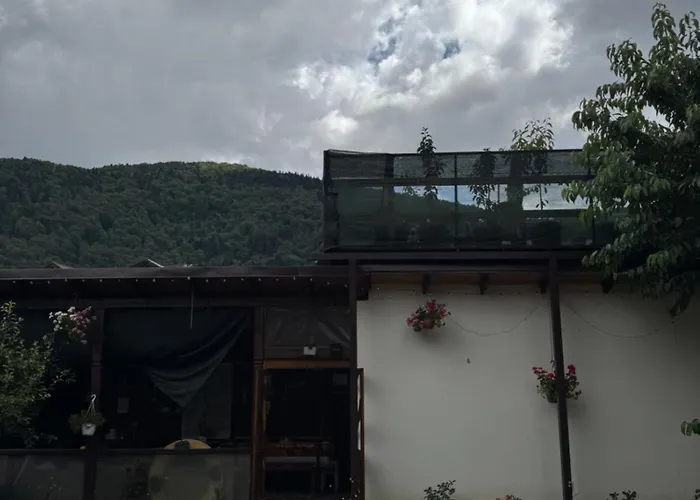 Amandra Chalet Sinaia