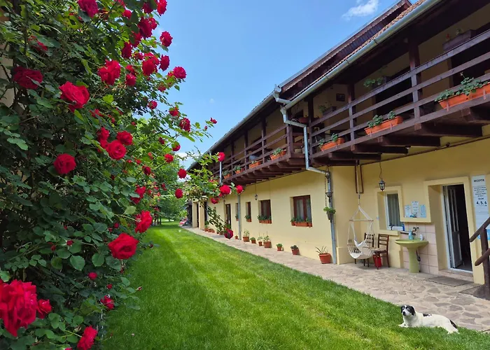 Pensiunea Leia Cîrţişoara