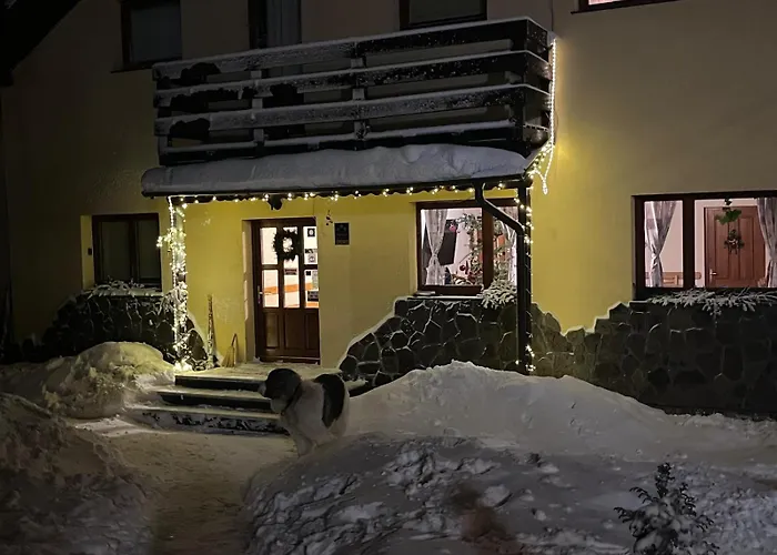 Pension Tofalvi Harghita-Băi