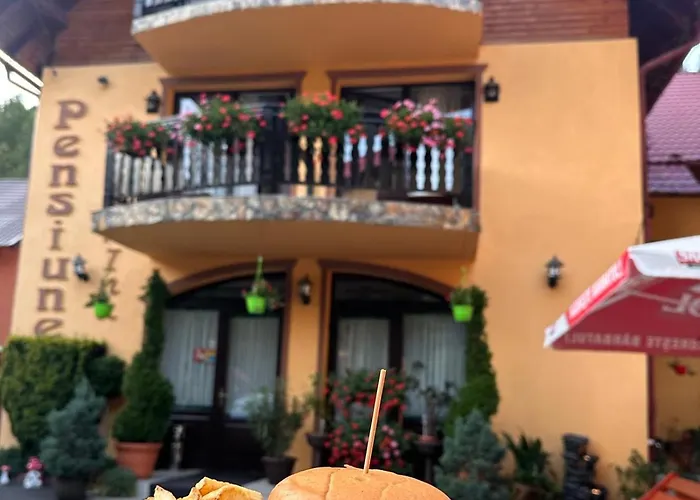 Pensiunea Gianina Arieşeni