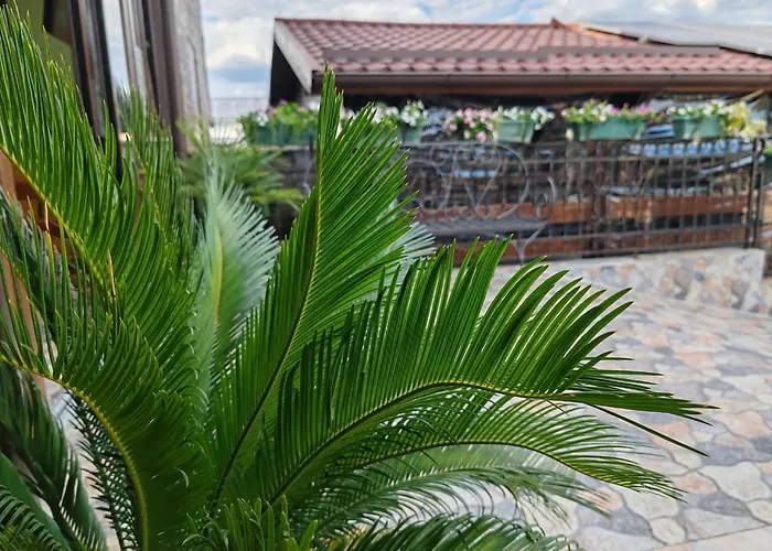 MarLiv Complex Hotel Tasnad