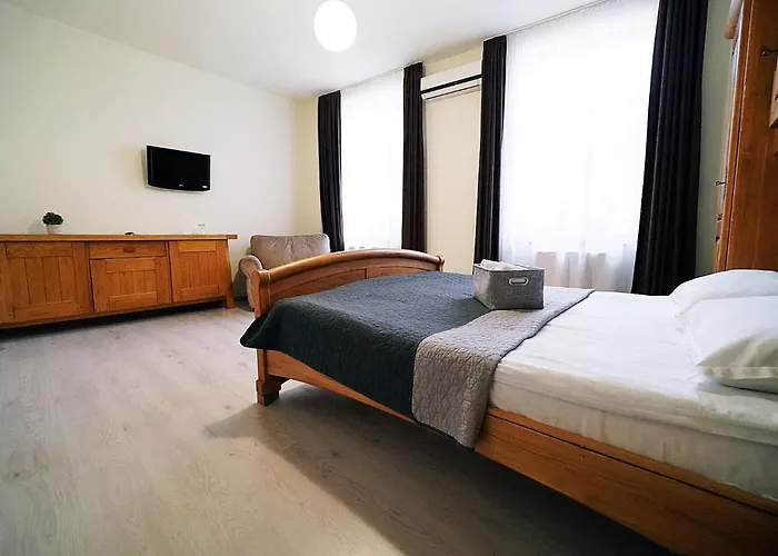 Pensiunea Central Reghin