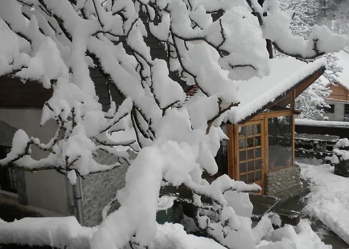 Rem'S Pension Rîşnov