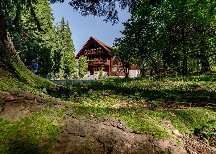 Vila Zorile Poiana Braşov