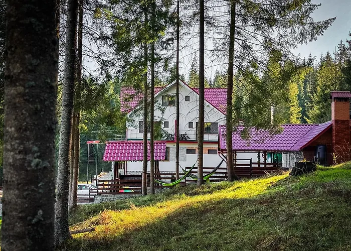 Panoramic Apuseni Doda Pilii Răchițele