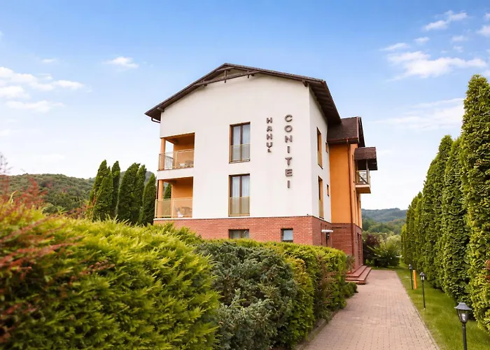 Hanul Conitei Sovata