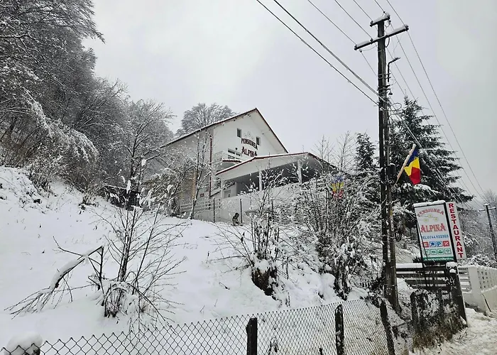 Pensiunea Alpina Malaia