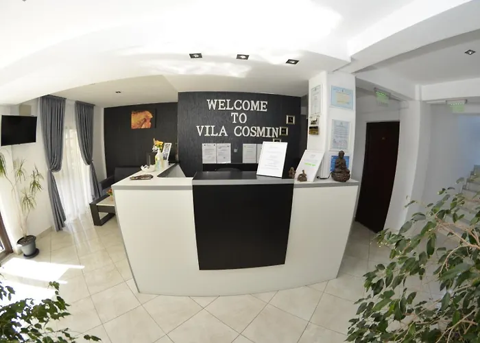 Vila Cosmin Costineşti