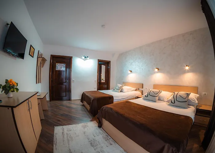 Pensiunea Casa Alexandra Vatra Dornei