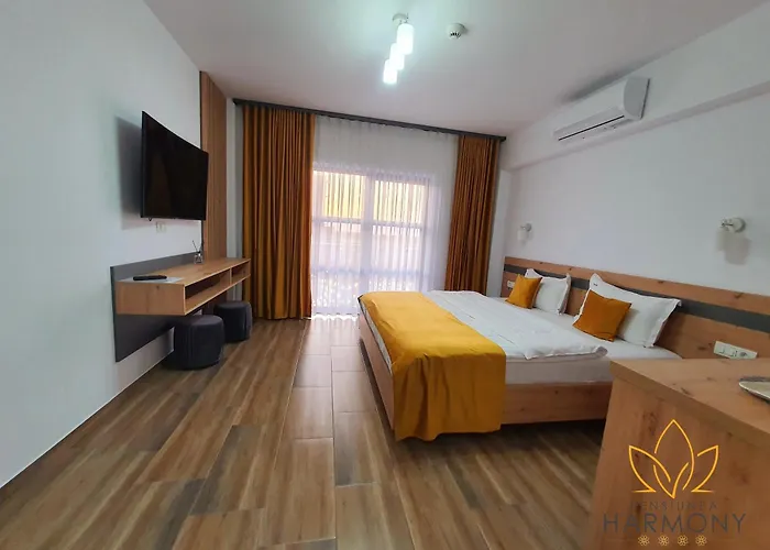 Pensiunea Harmony Băile Felix