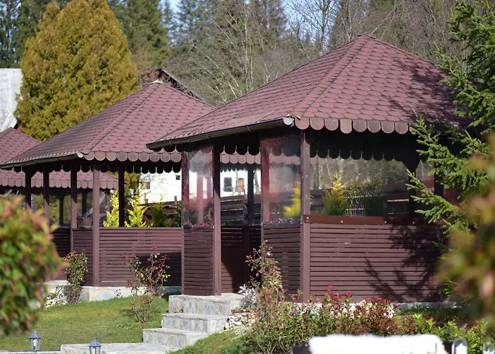 Infinity Villa Predeal