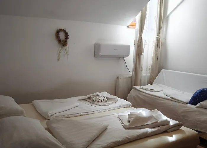 Pensiunea Buon Gusto Sibiu