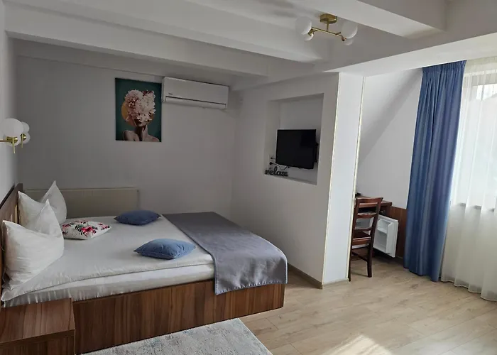 Pensiunea Transilvania Sibiu