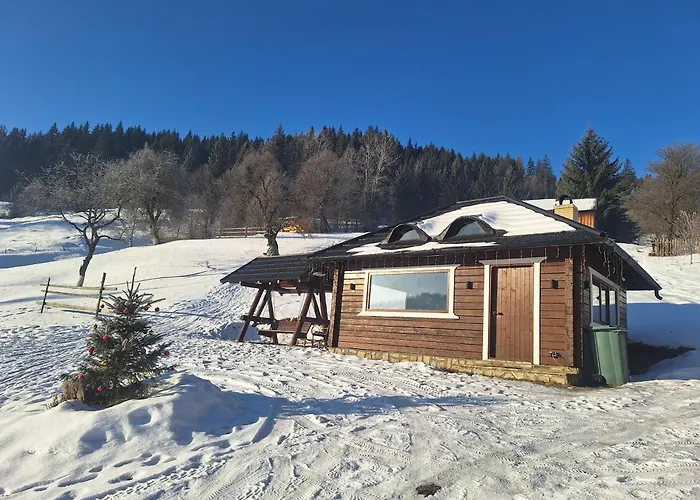 Pensiunea Casa Fierarul din Bucovina Vatra Moldoviţei