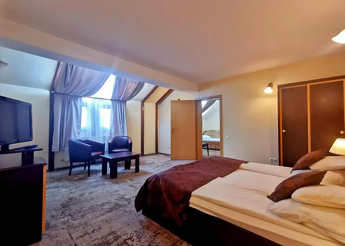 Pensiunea Ambient Brașov