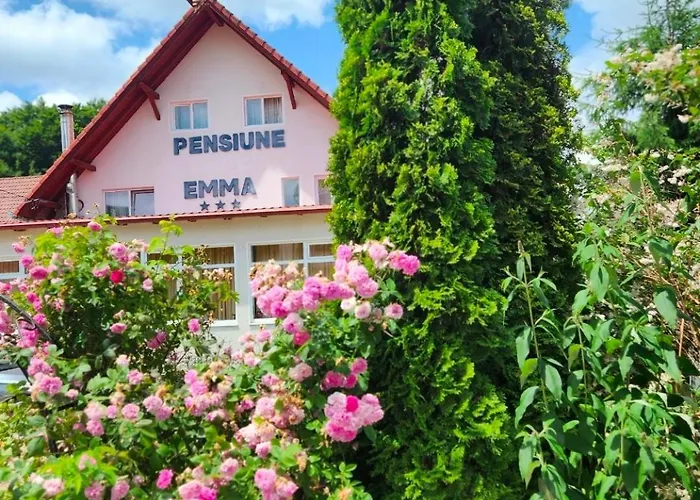 Pensiunea Emma Sîmbăta de Sus