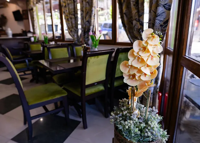 Pensiunea Izvoare Olanesti 3*** Băile Olăneşti