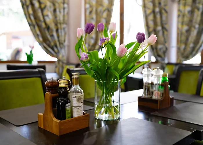 Pensiunea Izvoare Olanesti 3*** Băile Olăneşti